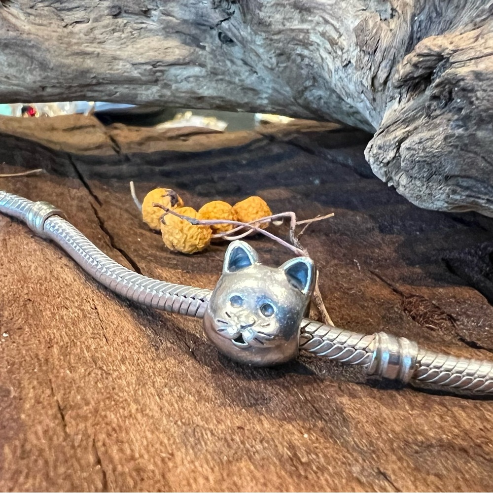 Authentic Pandora Charm Curious Cat Bead Sterling Silver Animal Kitty Mom